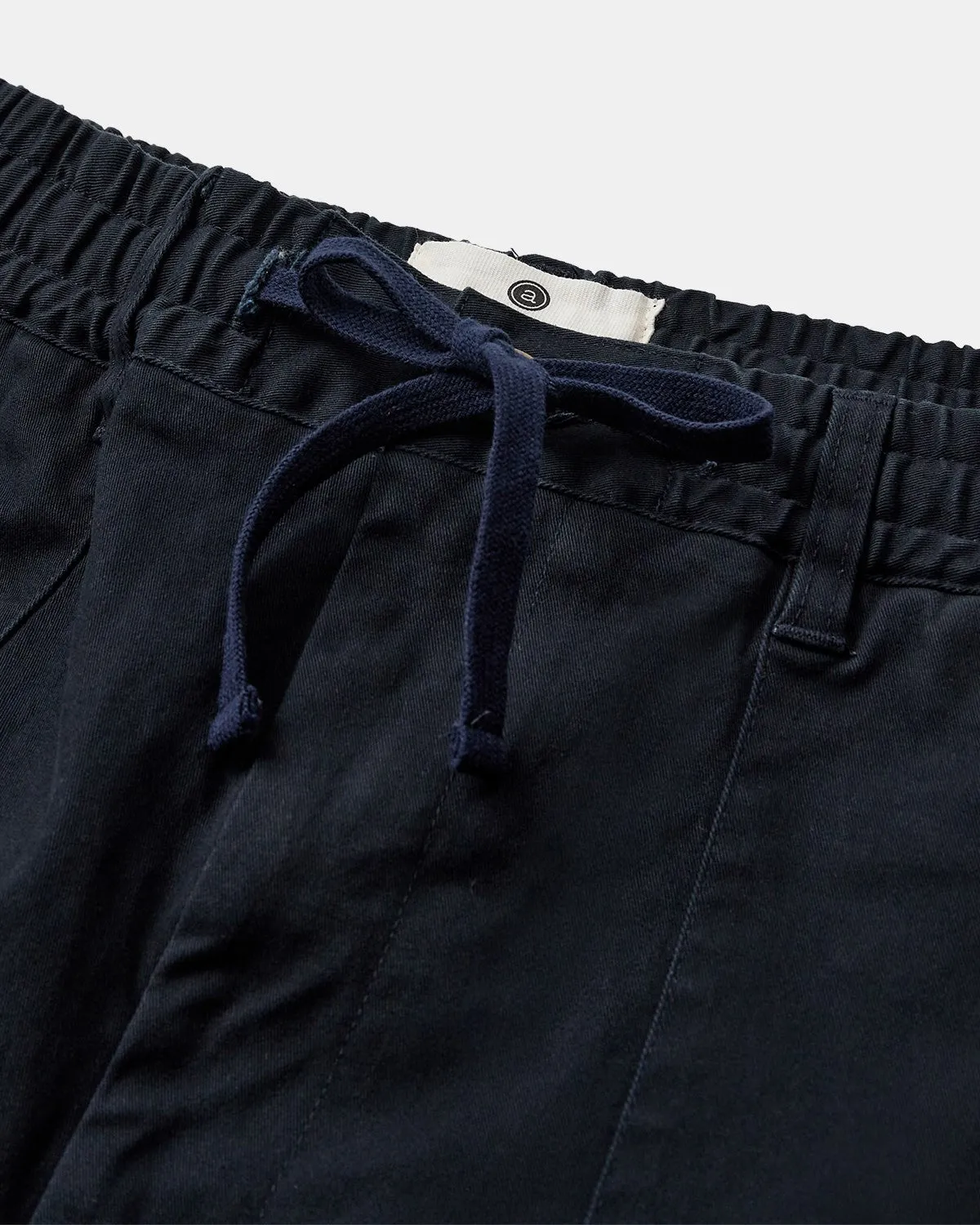AKJAKOB FATIQUE PLEAT COTTON PANTS - Sky Captain
